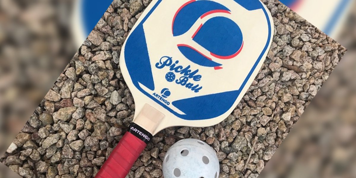 Le Pickle Ball Questions Réponses DAHLIR Dispositif d