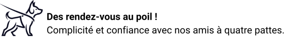 Des rendez-vous au poil ! Complicité et confiance avec nos amis à quatre pattes.