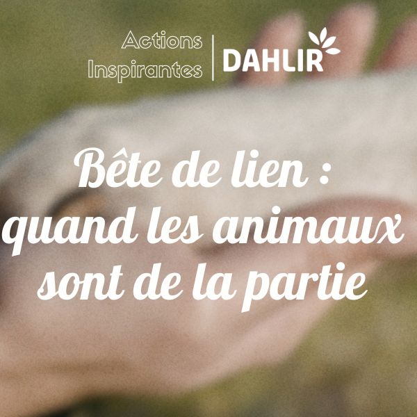 Bête de lien : quand les animaux sont de la partie