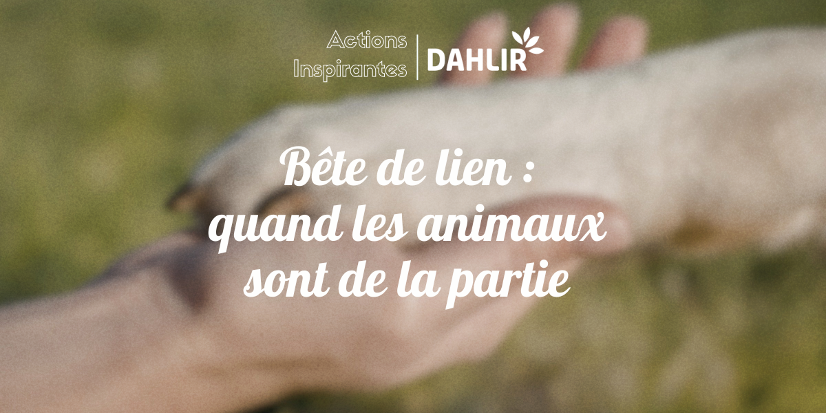 Bête de lien : quand les animaux sont de la partie